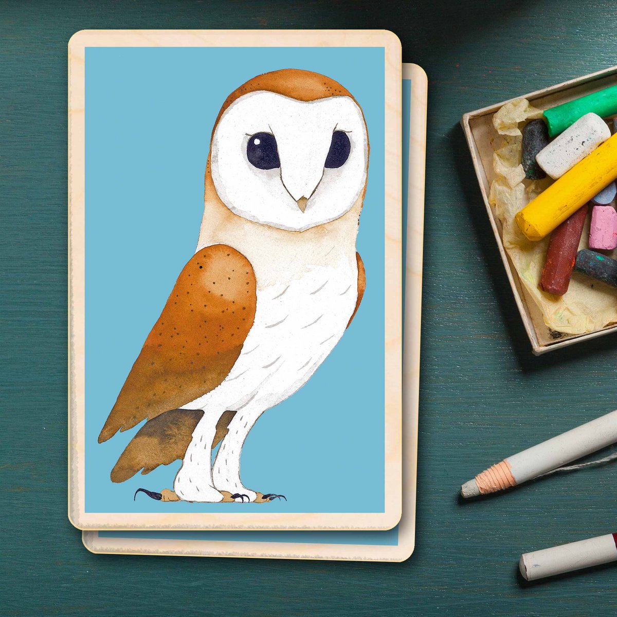 BARN OWL Duurzame houten kort