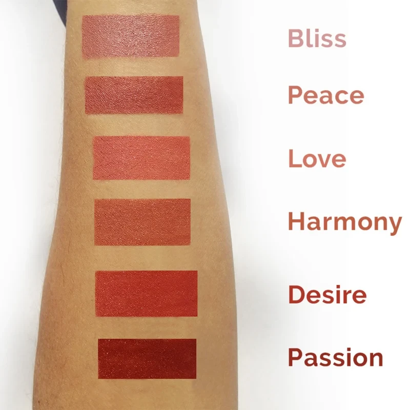 Demi Mattes – Bio-Hagebutten-Lippenstift
