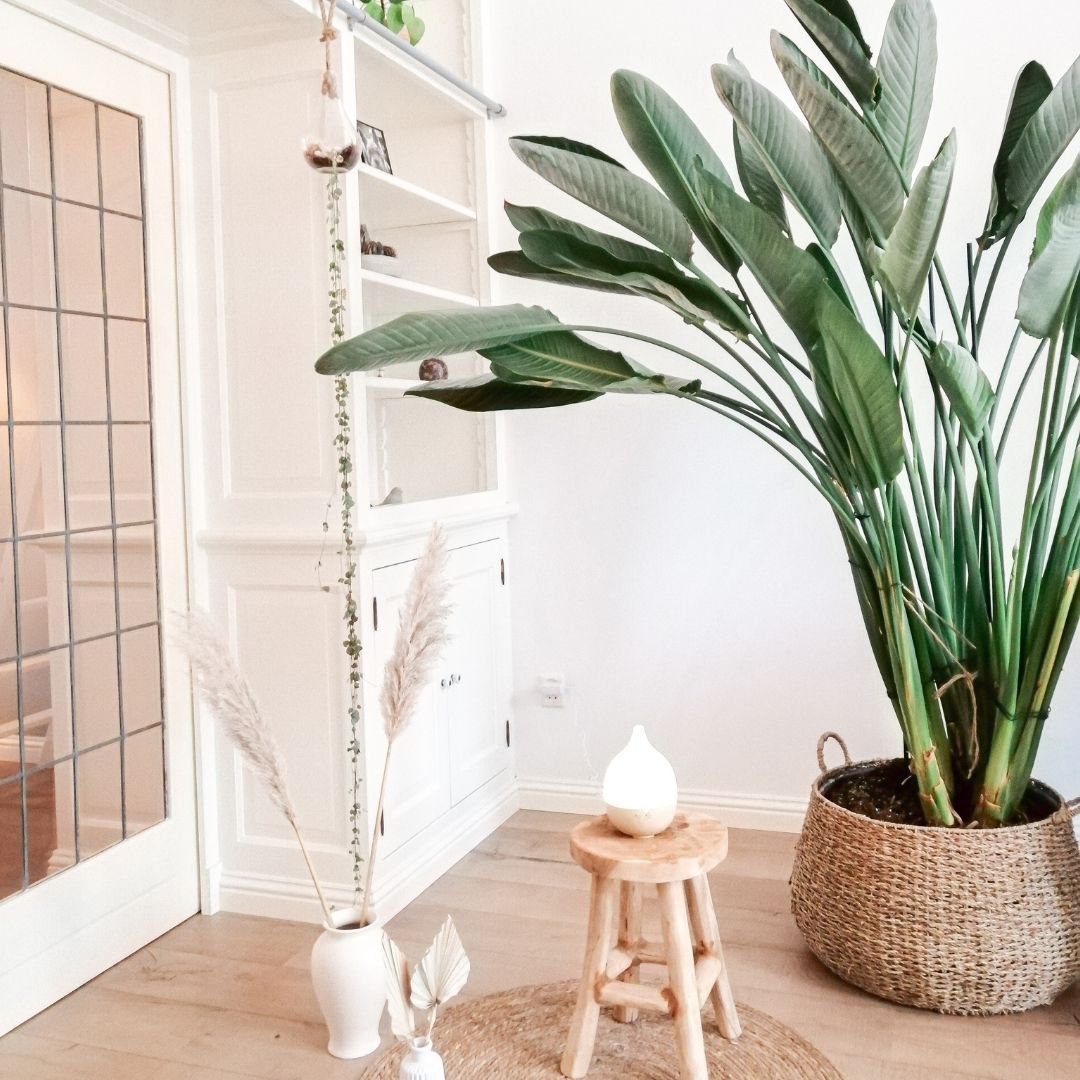 Close 2 Nature 2.0 also night light - Geurwolkje® Diffuser - Light wood - 200 ml - Recommended retail price €44.95