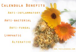 Calendula Salve - 100ml