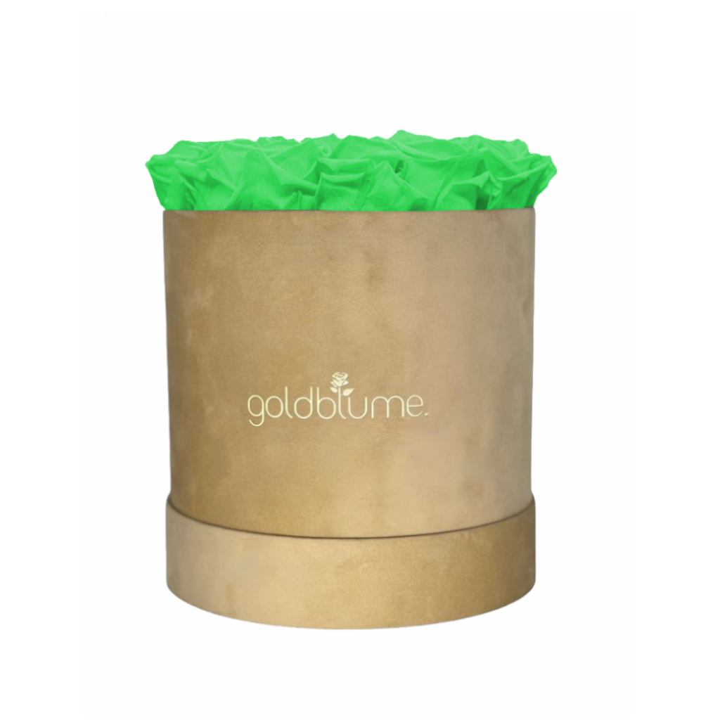Colección Terciopelo Beige