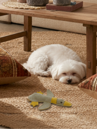 BUDDY. Leather dog toy "Little Duck"