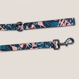 Savane dog leash
