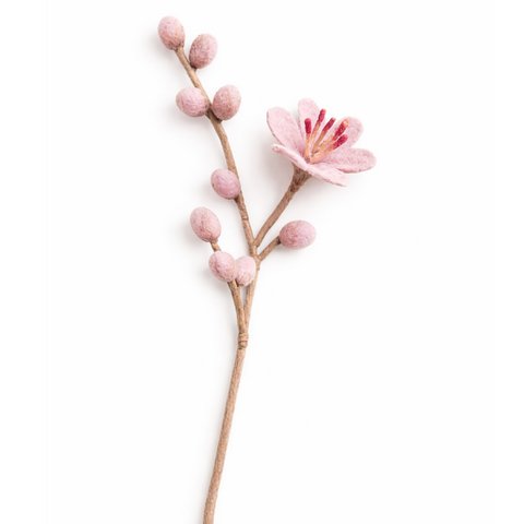 Blossom One Flower pink