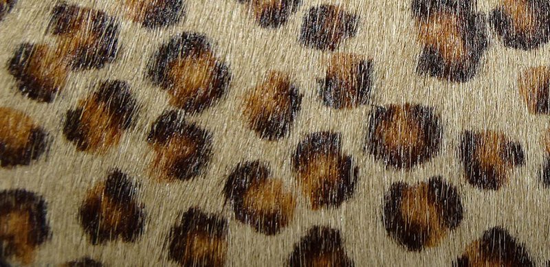 Großes Modell - VUE LAC Initial Travel Bag - Leopard - Gelbe Lederbesätze