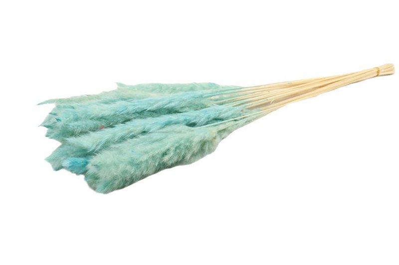 Soffici pampas - per mazzo - 70 cm - bianchi - fiori secchi
