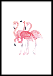 FLAMINGOS