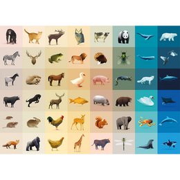 Puzzle Faune (1000 pièces)