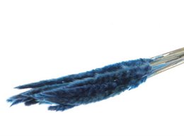 Soffici pampas - per mazzo - 70 cm - bianchi - fiori secchi