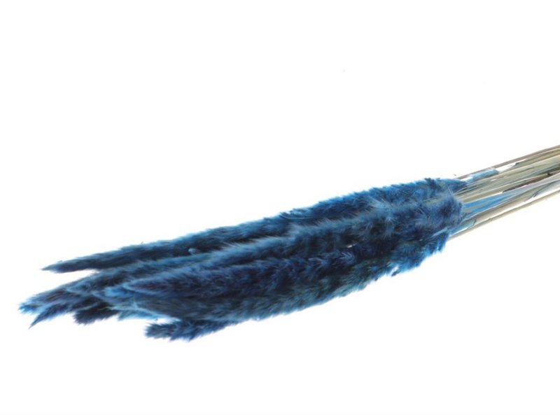 Soffici pampas - per mazzo - 70 cm - bianchi - fiori secchi