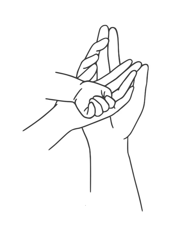 familia de lineart