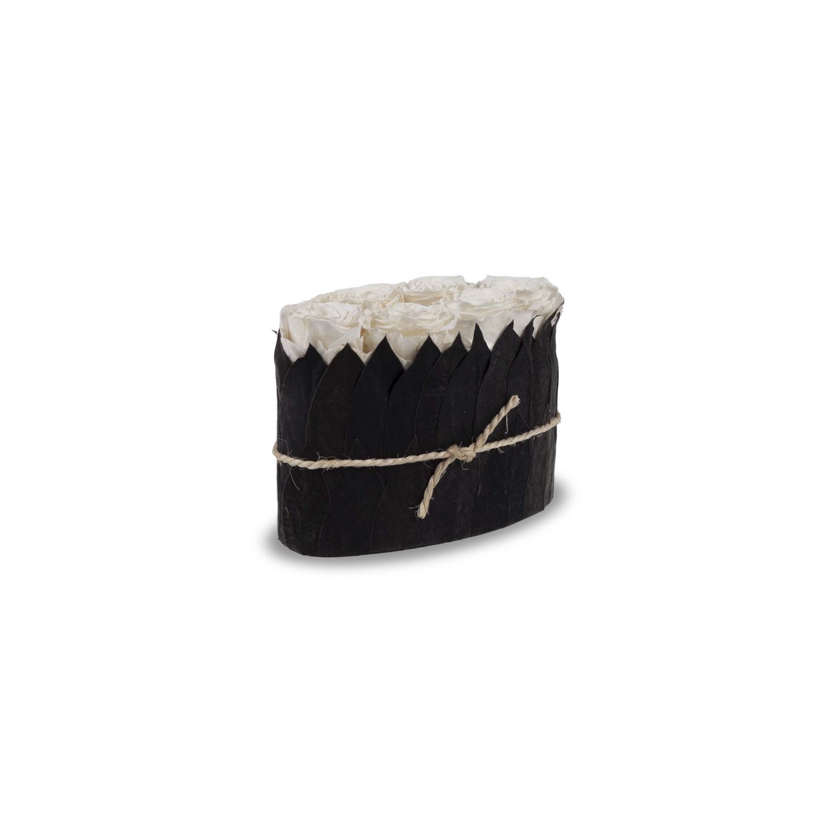 Ivory Black Leaves