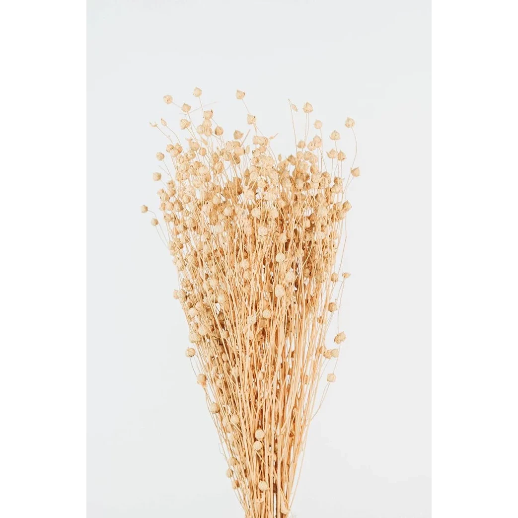 Linum gedroogde bloemen boeket