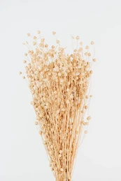 Linum tørret blomsterbuket