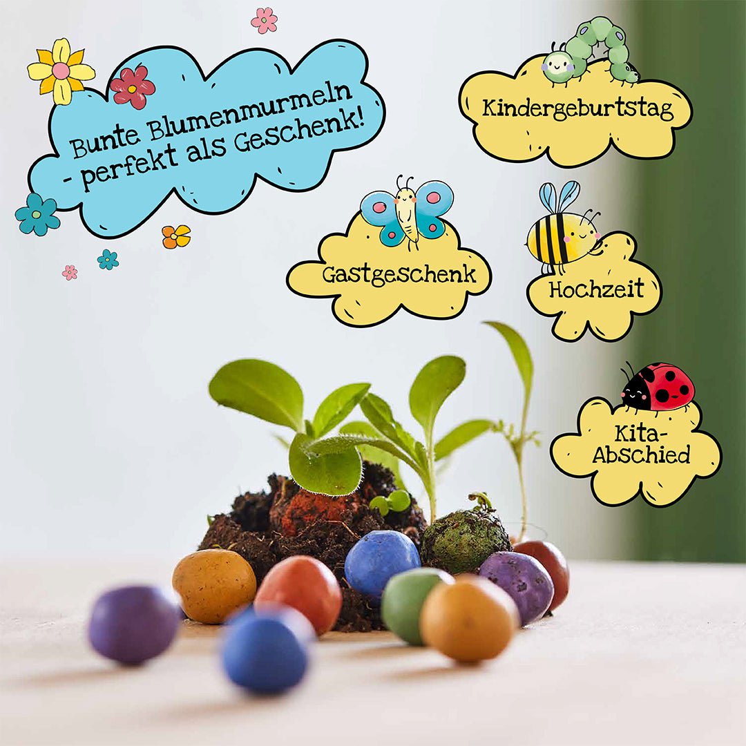 Blumenmurmeln Naturabenteuer, 100er Dose