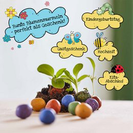 Blumenmurmeln Naturabenteuer, 100er Dose