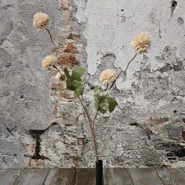 Silk Allium 50cm (52007)