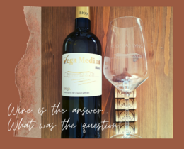 Young white wine D.O.Ca. Rioja Vega Medina