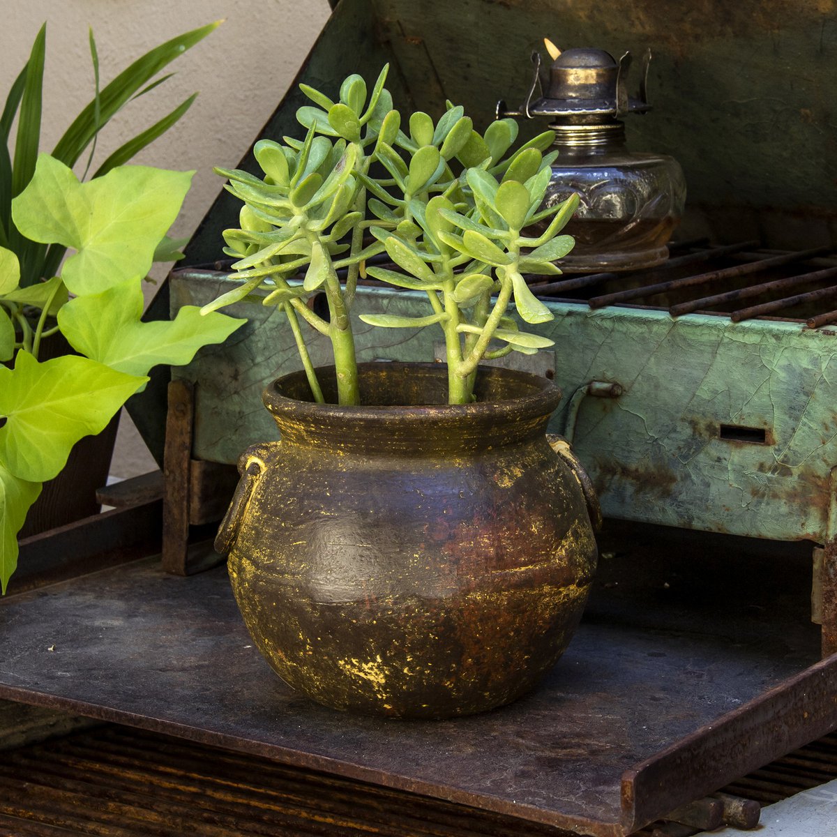 Clay flower pot, Ollita Argollas