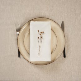 Linen Napkins Set