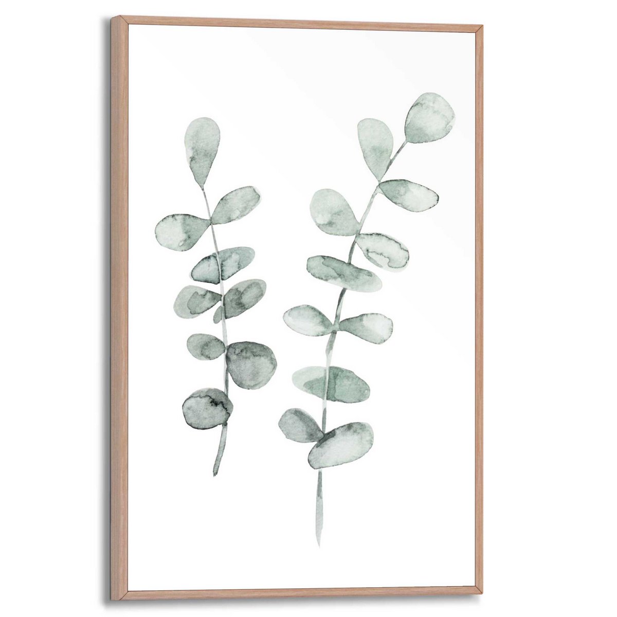 Painting Slim Frame Eucalyptus 30x20
