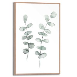 Painting Slim Frame Eucalyptus 30x20