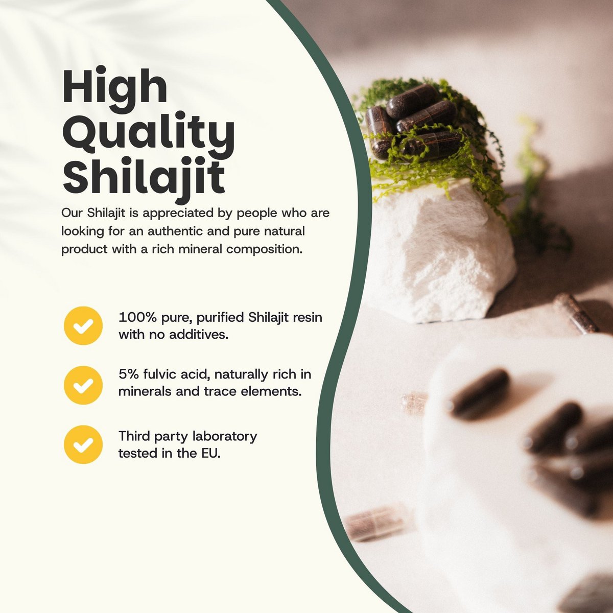 Estratto di Shilajit (5%) Capsule 500 mg - 60 Capsule