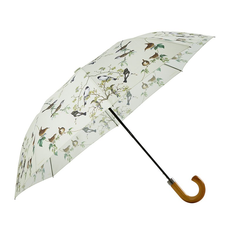 Umbrella - Garden birds