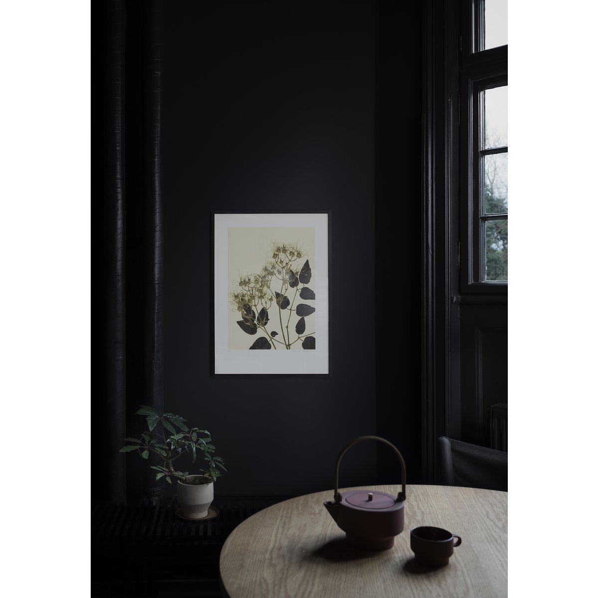 Clematis okkergrøn 50x70 cm