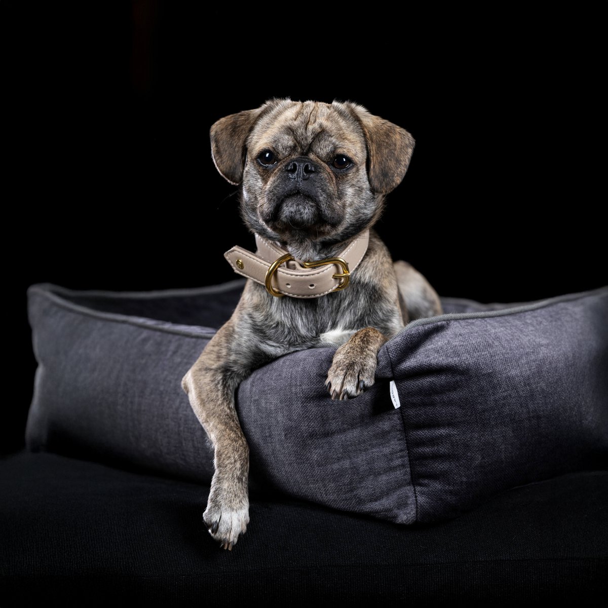 GLAM CLASSIC HUNDEBETT