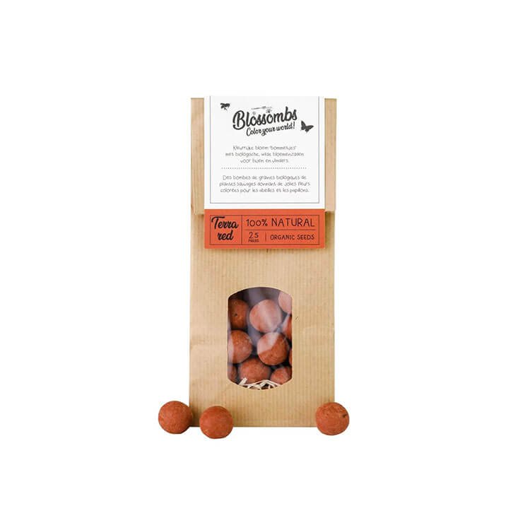 Kraft Bag 10 Pieces Seed Bomb