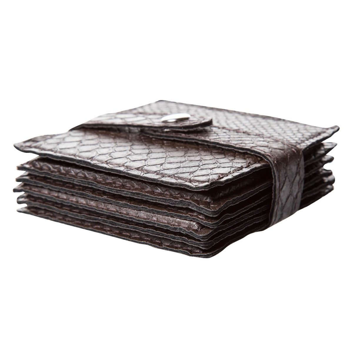 Recubrimiento de vidrio 6-er set reptil marrón oscuro