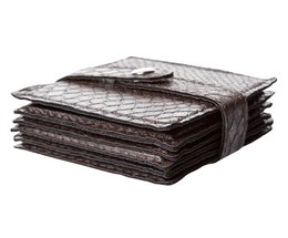 Recubrimiento de vidrio 6-er set reptil marrón oscuro