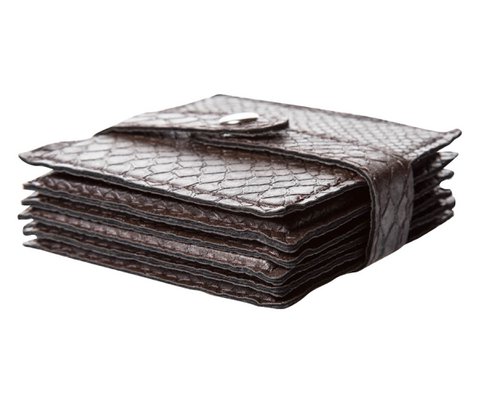 Glass coating 6-er set reptile dark brown