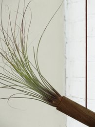 Cilindro pensile - Rovere Moro