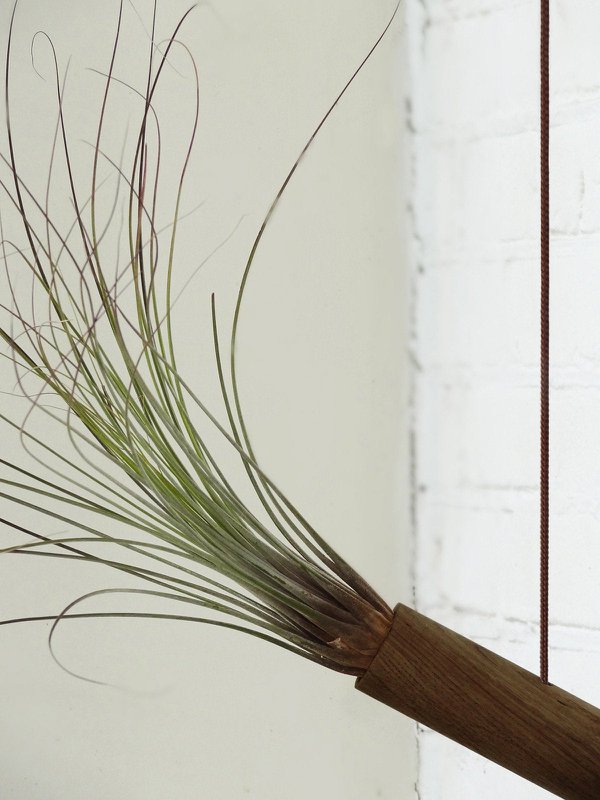 Hanging Cylinder - Dark Oak