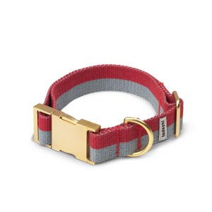 My red faded blue collar