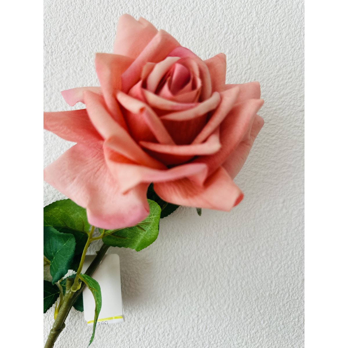 QMF Rosa Toque De Mano 72cm WIT2PCS