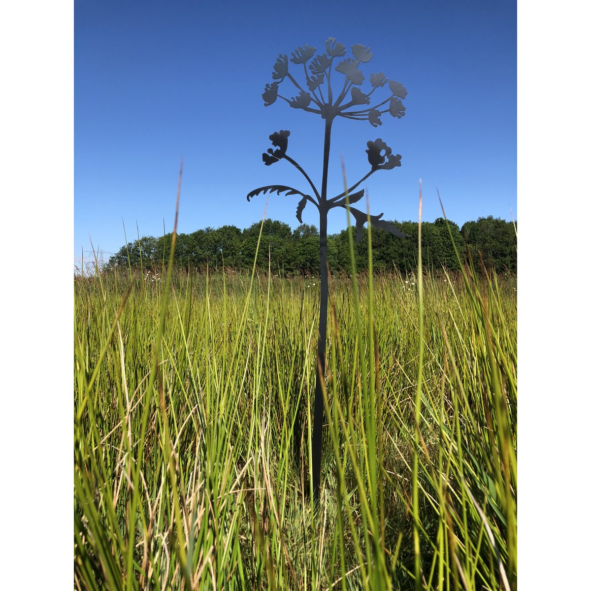 Poppy's & Hogweed - Corten object