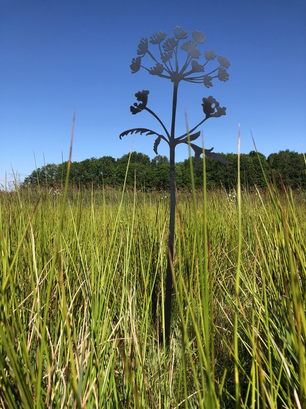 Poppy's & Hogweed - Objeto Corten
