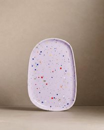 New Party Small Tray - Mix 6 Pieces