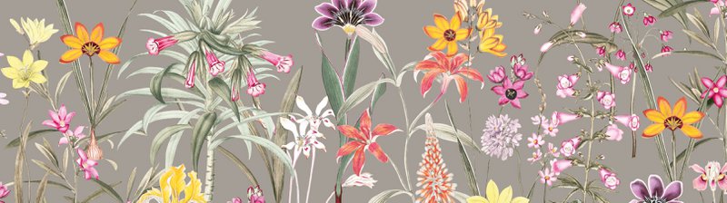 Obramowanie samoprzylepne "Ogród Botaniczny" wielobarwny/taupe