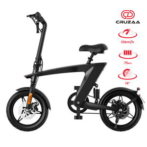 Electric Bike The Max foldable E Bike carbon Black