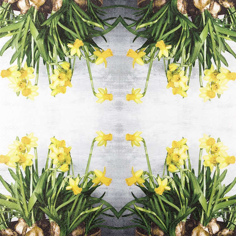 Cocktail napkins Narcissus
