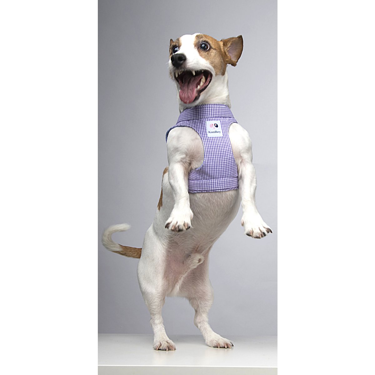 %100 Cotton Lilac Tile Patterned Plain Collar Harness