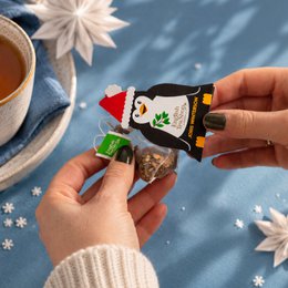 English Tea Shop - Pinguin "Joris Winterson", BIO-Tee, 1 Pyramidenbeutel