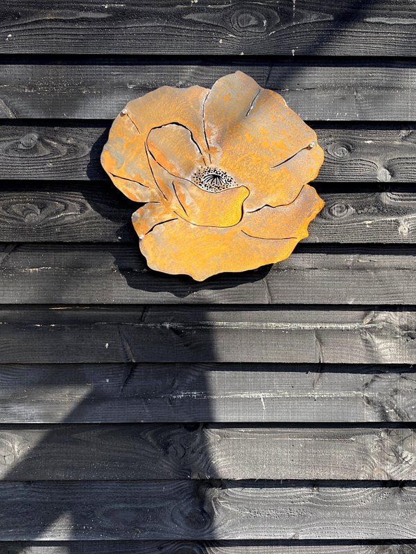 Vægblomst M