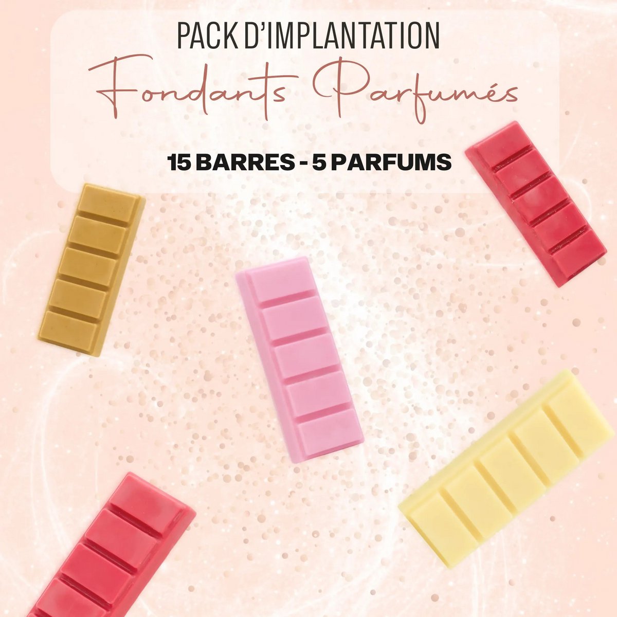 Pack de démarrage fondants parfumés barres - 5 parfums