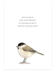Postkarte | Vertrauen