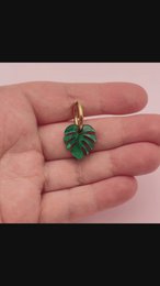 Monstera – Zum Komponieren